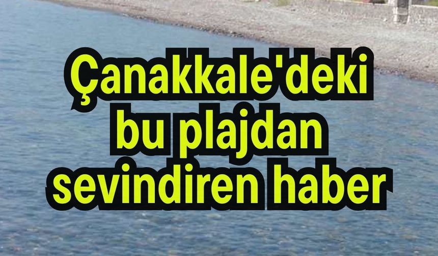 Çanakkale'deki bu plajdan sevindiren haber