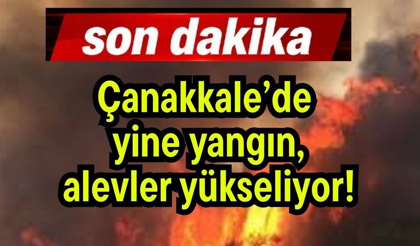 Çanakkale’de yine yangın, alevler yükseliyor!