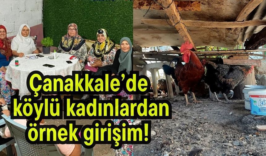 Çanakkale’de köylü kadınlardan örnek girişim!