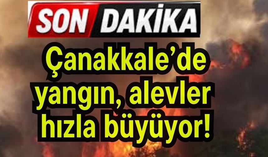 Çanakkale’de yangın, alevler hızla büyüyor!