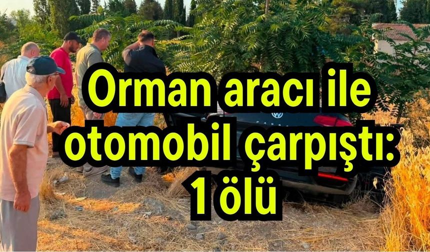 Orman aracı ile otomobil çarpıştı: 1 ölü