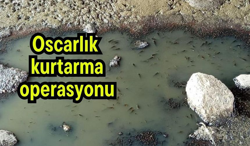 Oscarlık kurtarma operasyonu (Video)