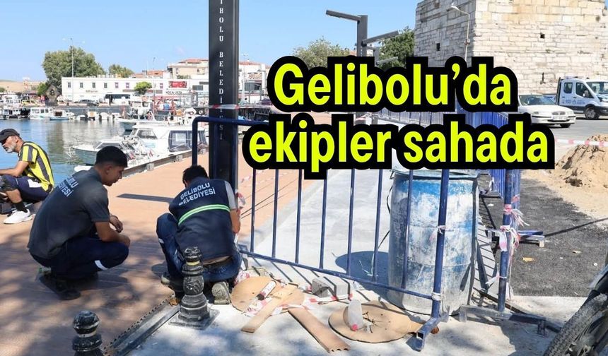 Gelibolu’da ekipler sahada