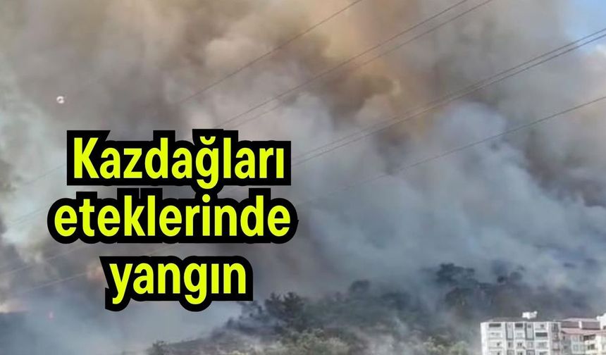 Kazdağları eteklerinde yangın (Video)