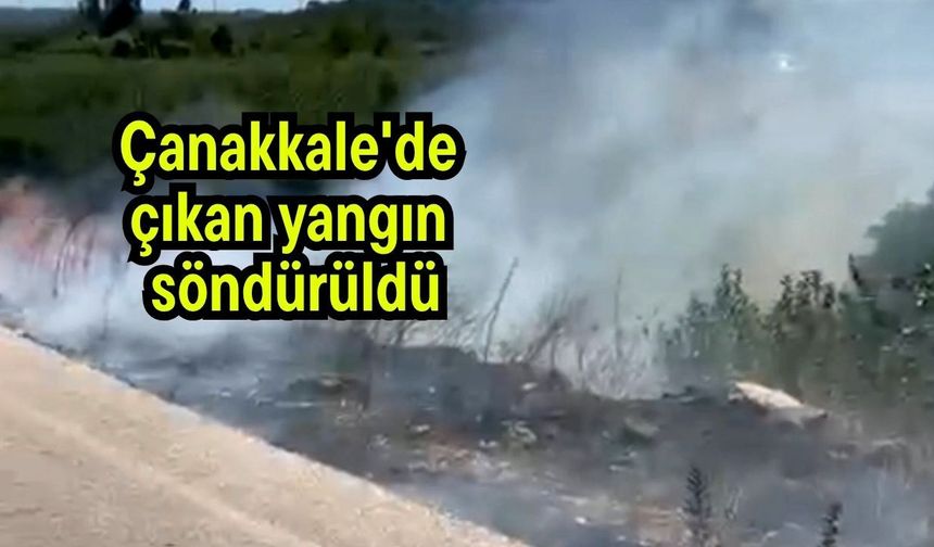 Çanakkale'de çıkan yangın söndürüldü (Video)