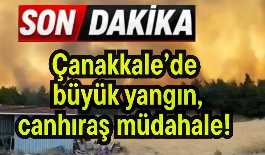 Çanakkale’de büyük yangın, canhıraş müdahale! (Video)