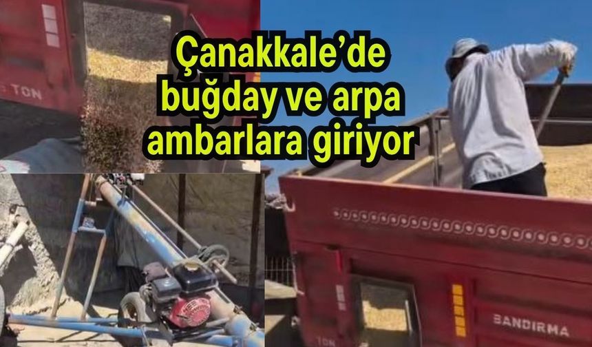 Çanakkale’de buğday ve arpa ambarlara giriyor