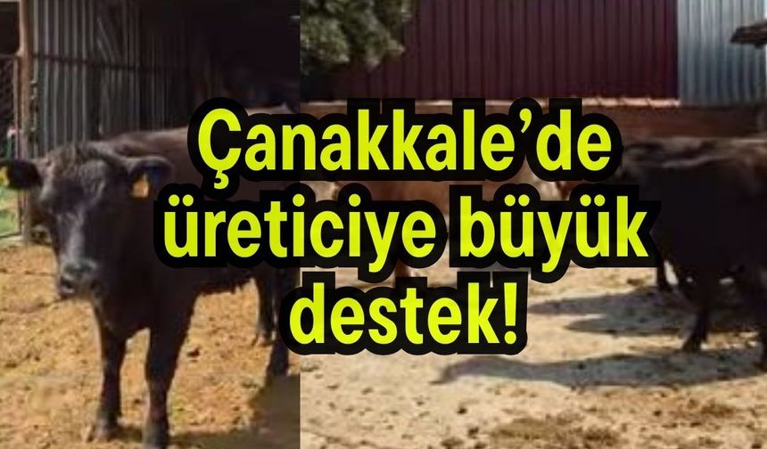 Çanakkale’de üreticiye büyük destek!