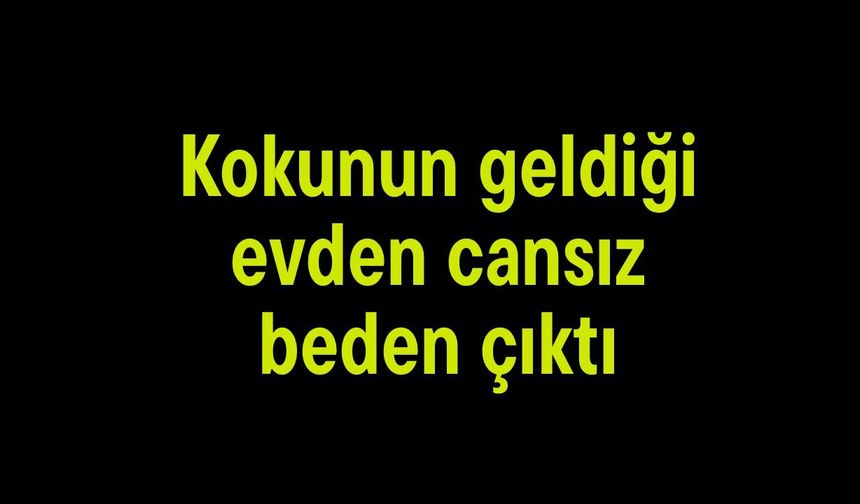 Kokunun geldiği evden cansız beden çıktı