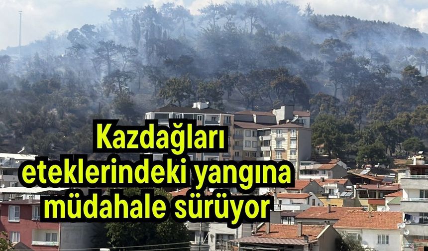 Kazdağları eteklerindeki yangına müdahale sürüyor