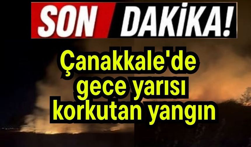 Çanakkale'de gece yarısı korkutan yangın