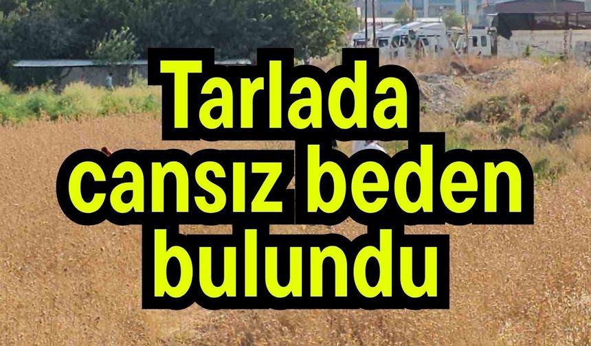 Tarlada cansız beden bulundu