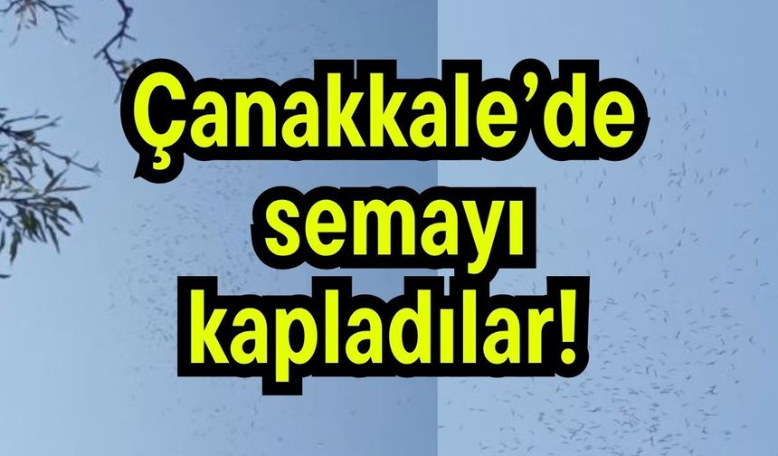 Çanakkale’de semayı kapladılar! (Video)