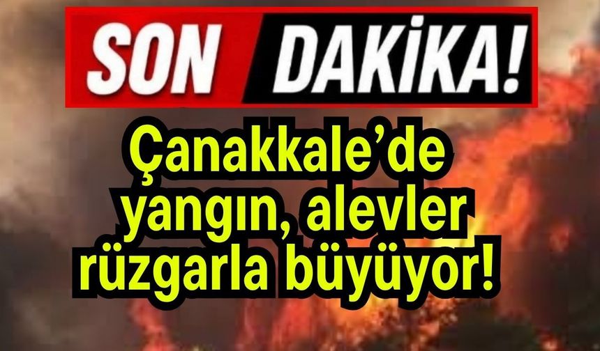 Çanakkale’de yangın, alevler rüzgarla büyüyor!