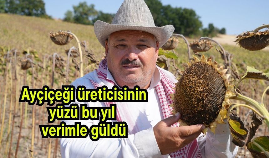 Ayçiçeği üreticisinin yüzü bu yıl verimle güldü (Video)