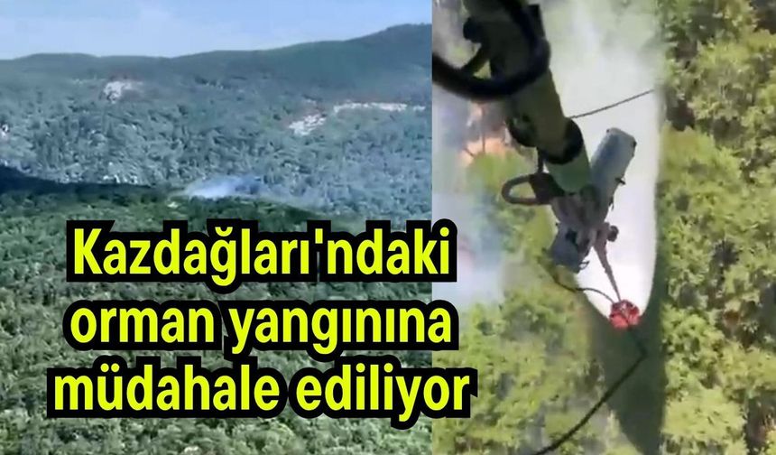 Kazdağları'ndaki orman yangınına müdahale ediliyor (Video)