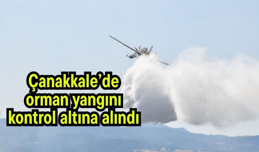 Çanakkale’de orman yangını kontrol altına alındı
