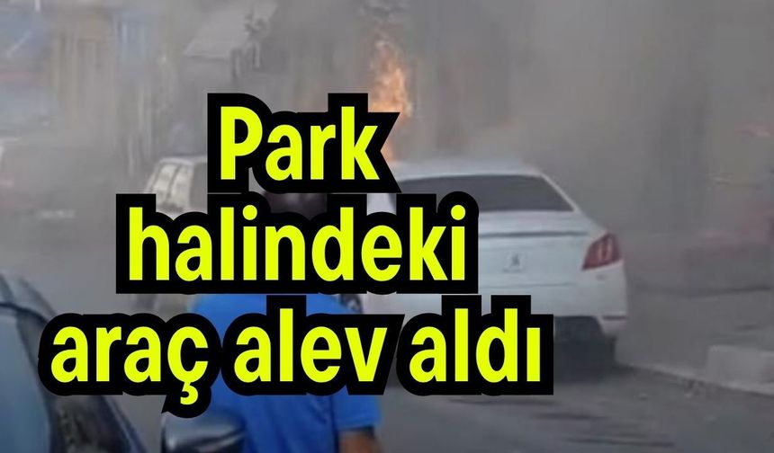 Park halindeki araç alev aldı
