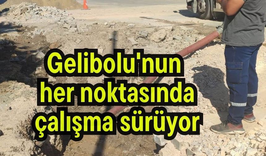 Gelibolu'nun her noktasında çalışma sürüyor