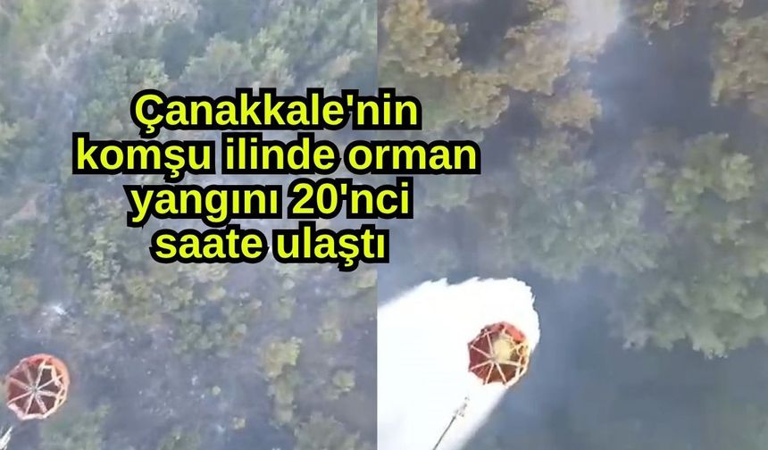 Çanakkale'nin komşu ilinde orman yangını 20'nci saate ulaştı (Video)