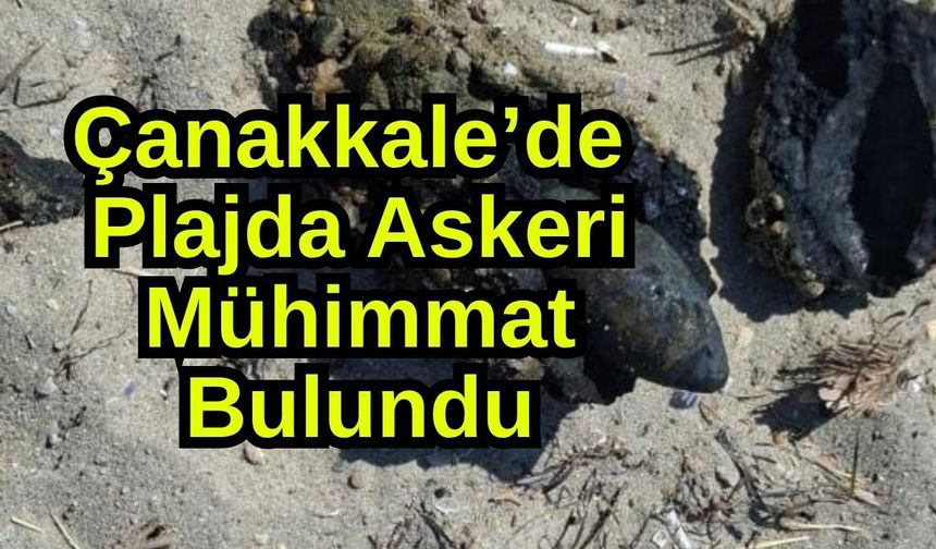 Çanakkale’de plajda askeri mühimmat bulundu