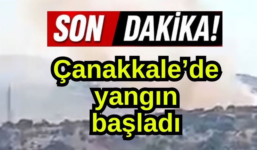 Çanakkale’de yangın başladı