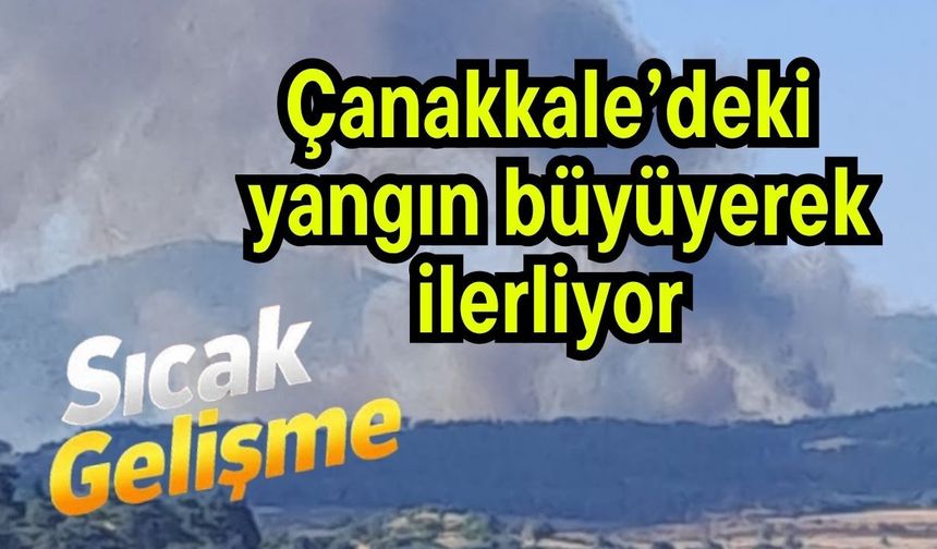 Çanakkale’deki yangın büyüyerek ilerliyor