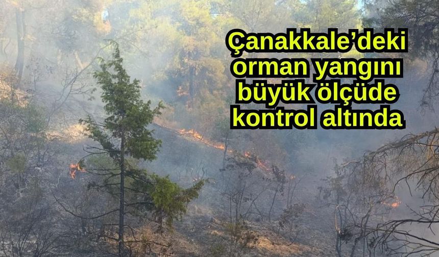 Çanakkale’deki orman yangını büyük ölçüde kontrol altında