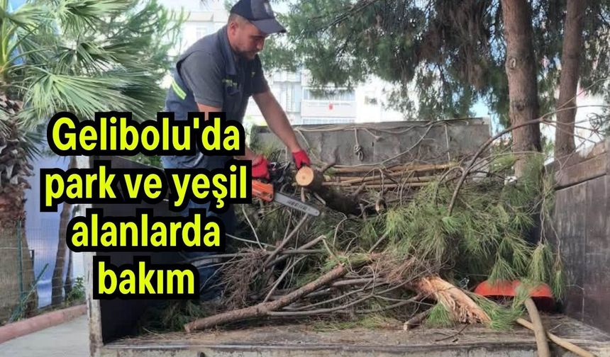 Gelibolu'da park ve yeşil alanlarda bakım
