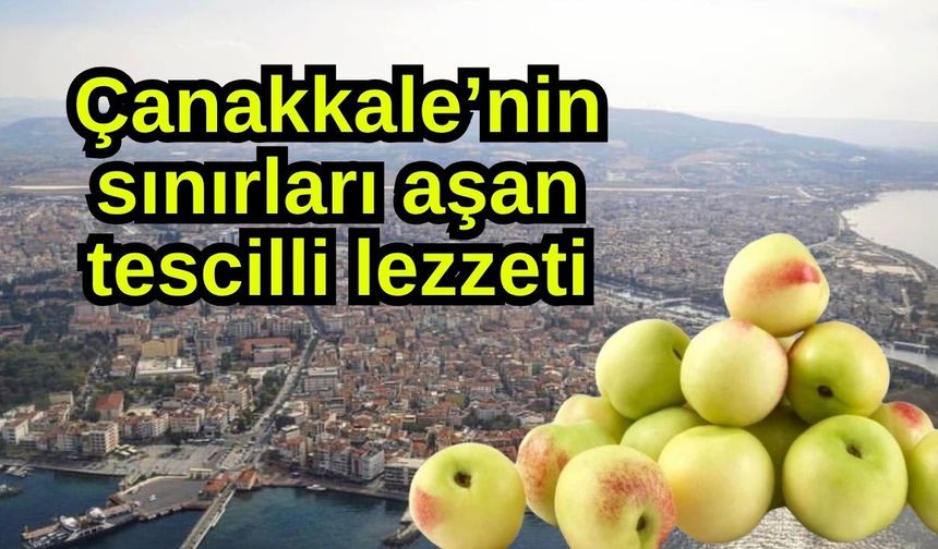 Çanakkale’nin sınırları aşan tescilli lezzeti
