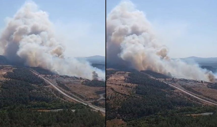 Çanakkale'deki orman yangını helikopterden görüntülendi (Video)