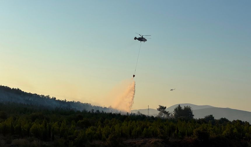 Bayramiç'teki orman yangını ile ilgili son gelişme (Video)