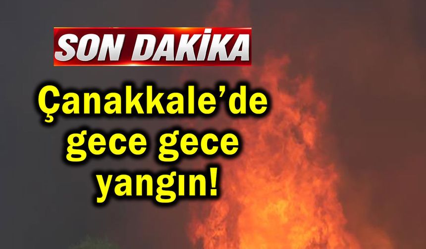 Çanakkale’de gece gece yangın !
