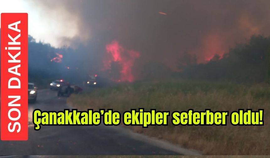 Çanakkale'de ekipler seferber oldu! Yangına müdahale sürüyor (Video)