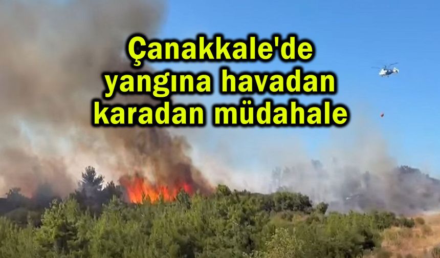 Çanakkale'de yangına havadan karadan müdahale