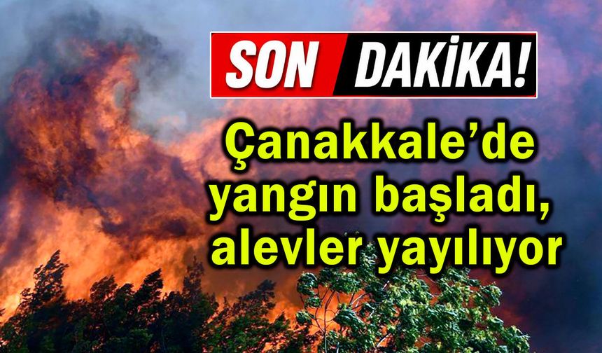 Çanakkale’de yangın başladı, alevler yayılıyor
