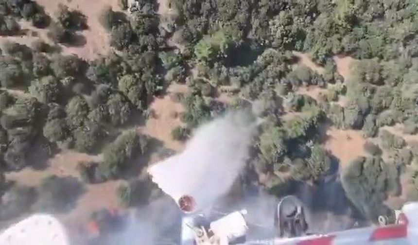 Çanakkale'deki orman yangınına havadan ve karadan müdahale sürüyor (Video)