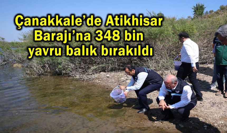 Atikhisar Barajı’na 348 bin yavru balık bırakıldı