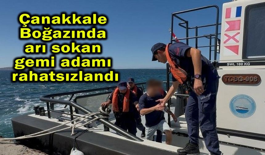 Çanakkale Boğazında arı sokan gemi adamı rahatsızlandı