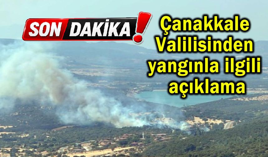 Çanakkale Valilisinden yangınla ilgili açıklama