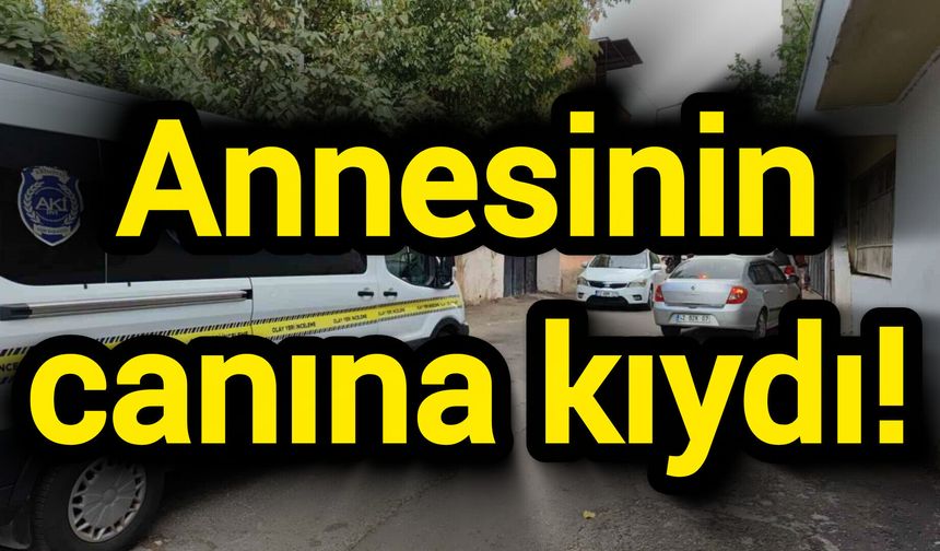 Annesinin canına kıydı!