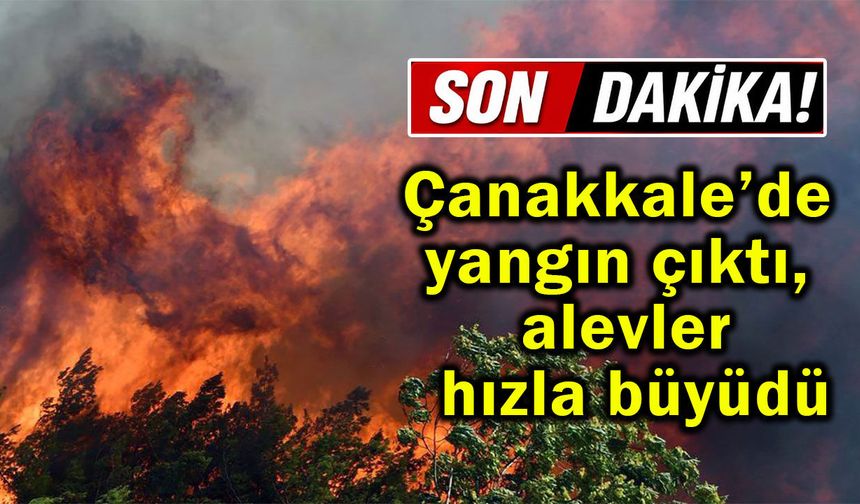 Çanakkale’de yangın çıktı, alevler hızla büyüdü