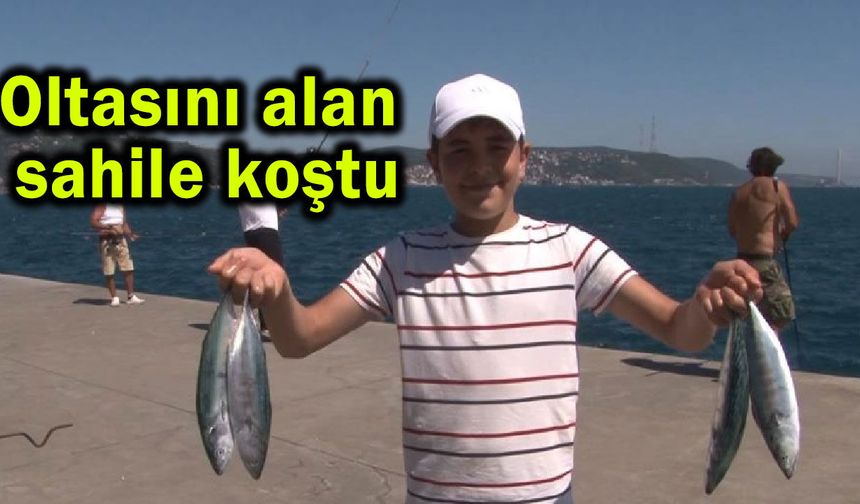 Oltasını alan sahile koştu! Palamut akını (Video)
