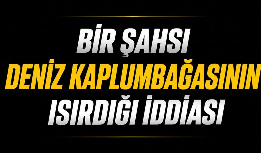 Bir şahsı deniz kaplumbağasının ısırdığı iddiası
