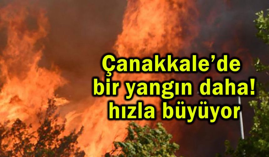 Çanakkale'de hızla büyüyen yangın (Video)