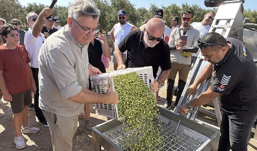 Bozcaada'da ilk kez zeytinyağı üretimi yapıldı (Video)