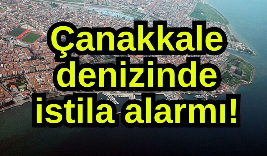 Çanakkale denizinde istila alarmı! (Video)