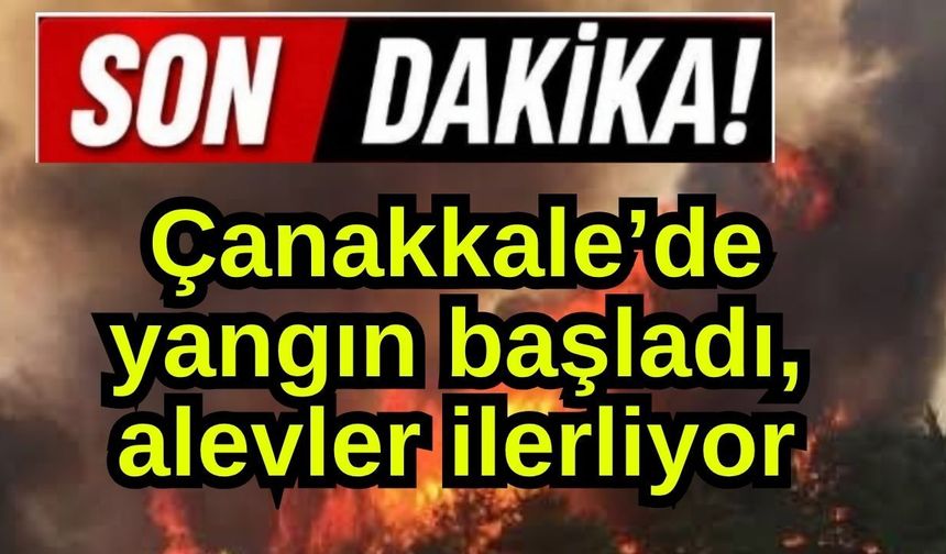 Çanakkale’de yangın başladı, alevler ilerliyor