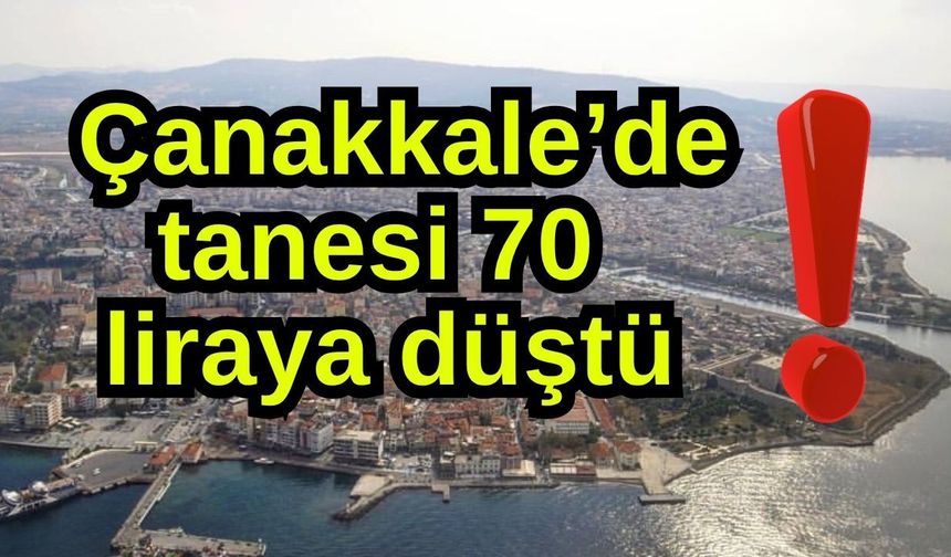 Çanakkale’de tanesi 70 liraya düştü!