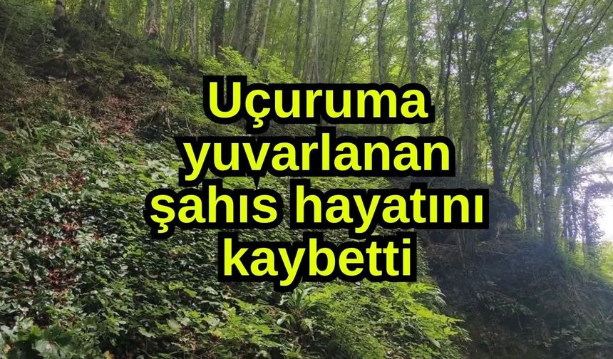 Uçuruma yuvarlanan şahıs hayatını kaybetti